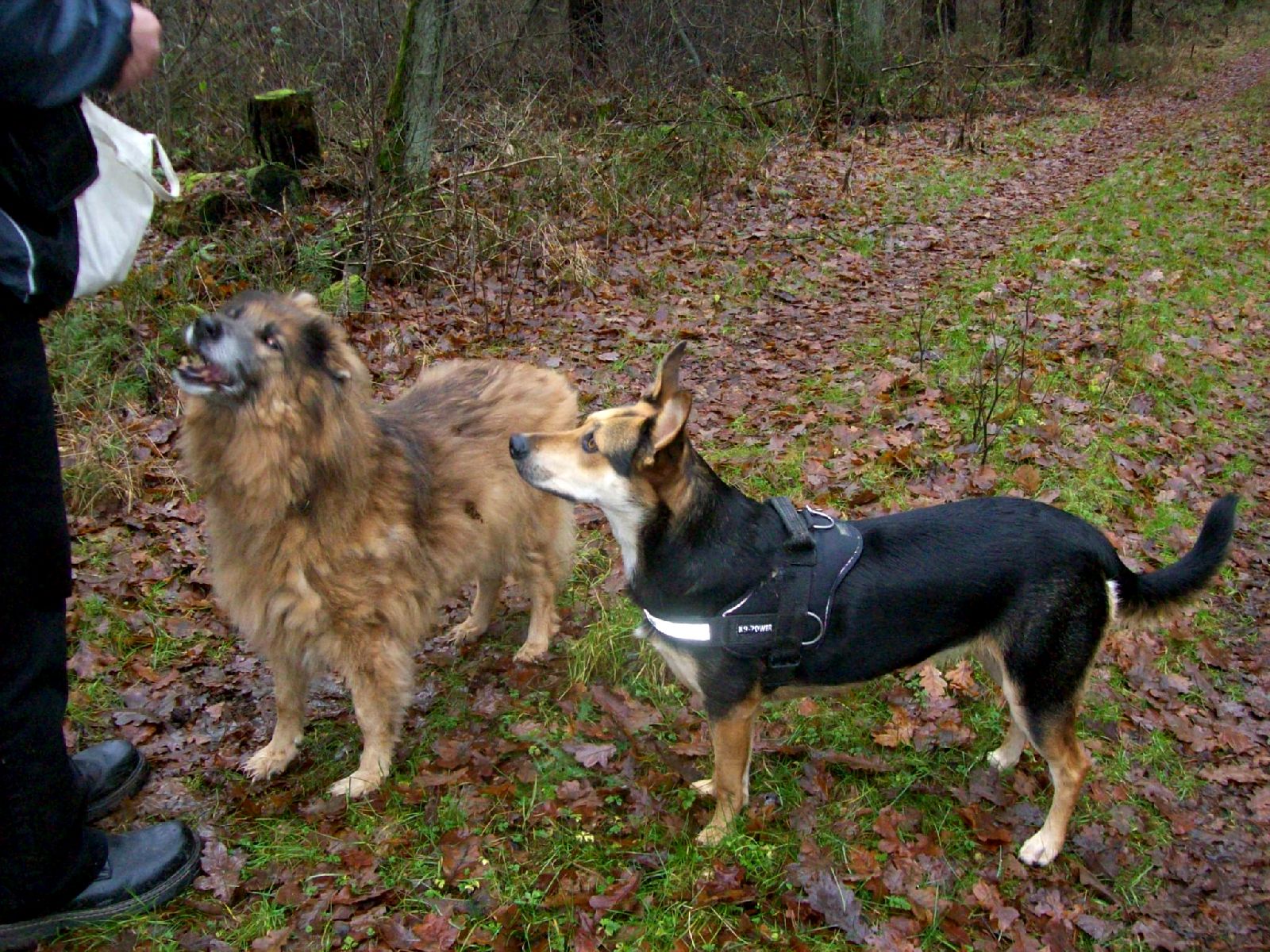 Shari und Madre 117.jpg